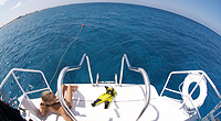 cayman islands diving boats